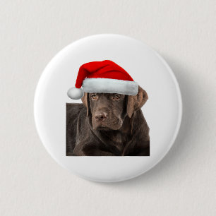 Chapa Redonda De 5 Cm Chocolate Lab Shirt Labrador Recuperador Perro Chr