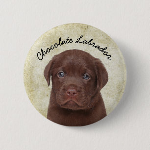 Chapa Redonda De 5 Cm Chocolate Labrador