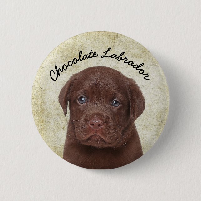 Chapa Redonda De 5 Cm Chocolate Labrador (Anverso)