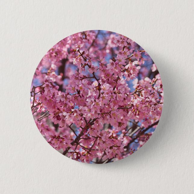 Chapa Redonda De 5 Cm Cielo de Flor de Cerezo Rosa Sakura (Anverso)