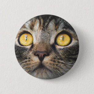 Chapa Redonda De 5 Cm Cierre de gato con ojos amarillos