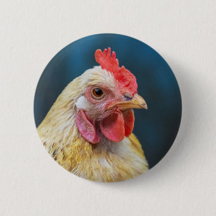 Chapa Redonda De 5 Cm Cierre de pollos