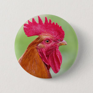 Chapa Redonda De 5 Cm Cierre de Rooster