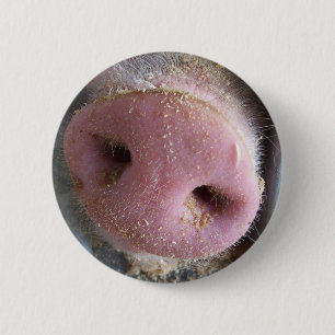 Chapa Redonda De 5 Cm Cierre rosado de la nariz del cerdo encima de la