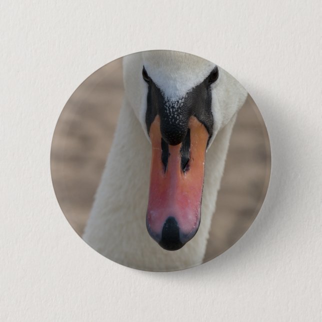 Chapa Redonda De 5 Cm Cisne (Anverso)