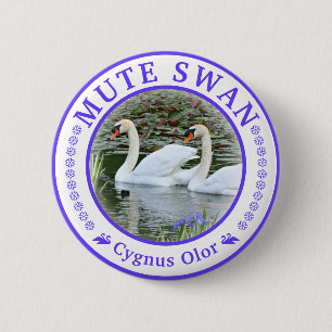 Chapa Redonda De 5 Cm Cisne blanco broche de lata