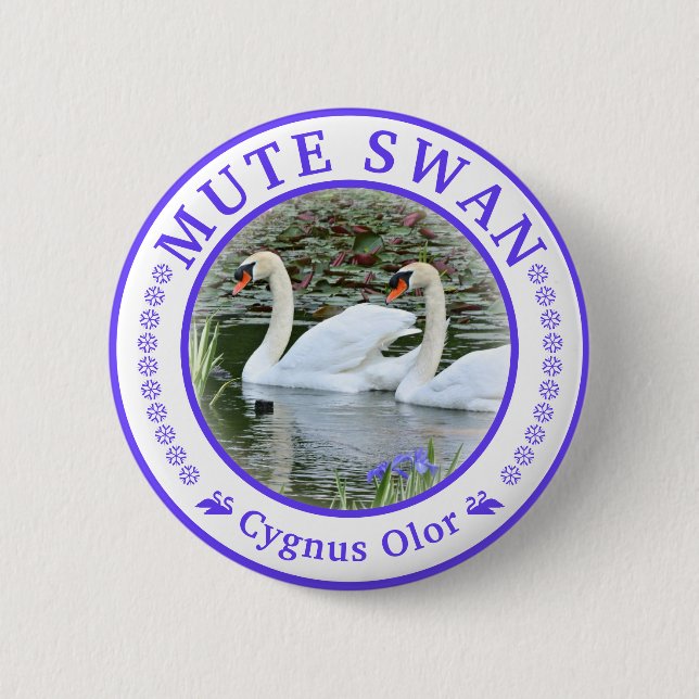 Chapa Redonda De 5 Cm Cisne blanco broche de lata (Anverso)