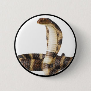 Chapa Redonda De 5 Cm "Cobra real 1"