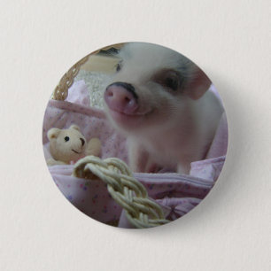 Chapa Redonda De 5 Cm Cochinillo lindo