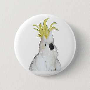 Chapa Redonda De 5 Cm Cockatoo