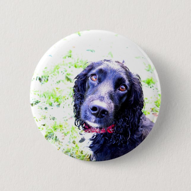 Chapa Redonda De 5 Cm Cocker Spaniel (Anverso)