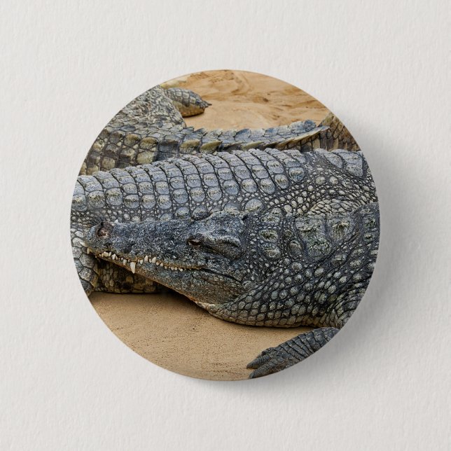 Chapa Redonda De 5 Cm Cocodrilos (Anverso)