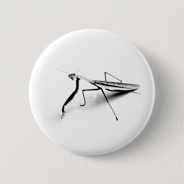 Chapa Redonda De 5 Cm Colección de la mantis religiosa (Anverso)