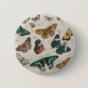 Chapa Redonda De 5 Cm colección de mariposas arte acuarela antigua marip
