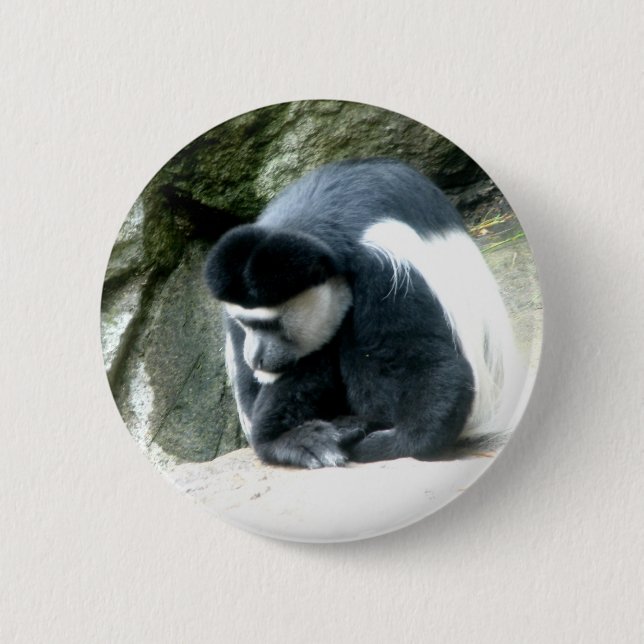 Chapa Redonda De 5 Cm Colobus (Anverso)