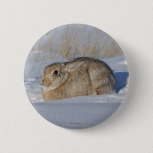 Chapa Redonda De 5 Cm Conejo de conejo de rabo blanco R5 en nieve