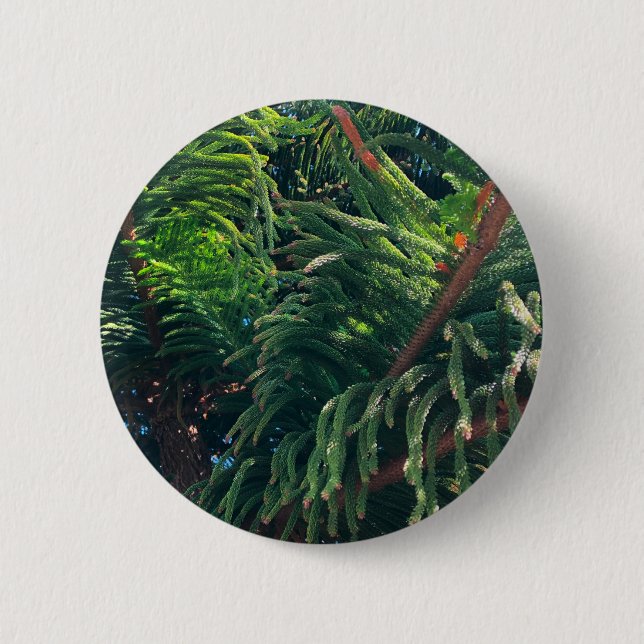 Chapa Redonda De 5 Cm Coníferas de pinos evergreen (Anverso)