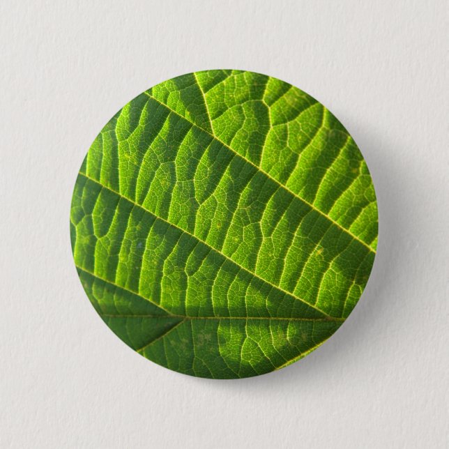 Chapa Redonda De 5 Cm Cool green leafprint (Anverso)