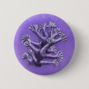 Chapa Redonda De 5 Cm Coral Reef Purple Marine Biology Art
