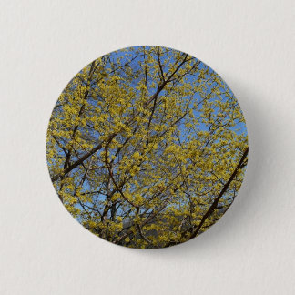 Chapa Redonda De 5 Cm Cornelian Cherry Dogwood y Blue Sky Floral