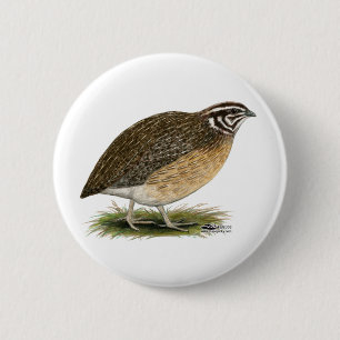 Chapa Redonda De 5 Cm Coturnix Pharaoh Quail