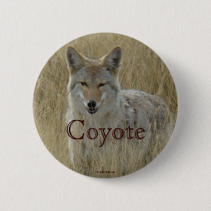 Chapa Redonda De 5 Cm Coyote R2 en hierba alta
