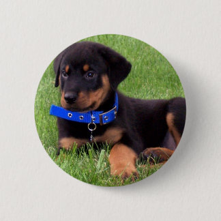 Chapa Redonda De 5 Cm crías de rottweiler