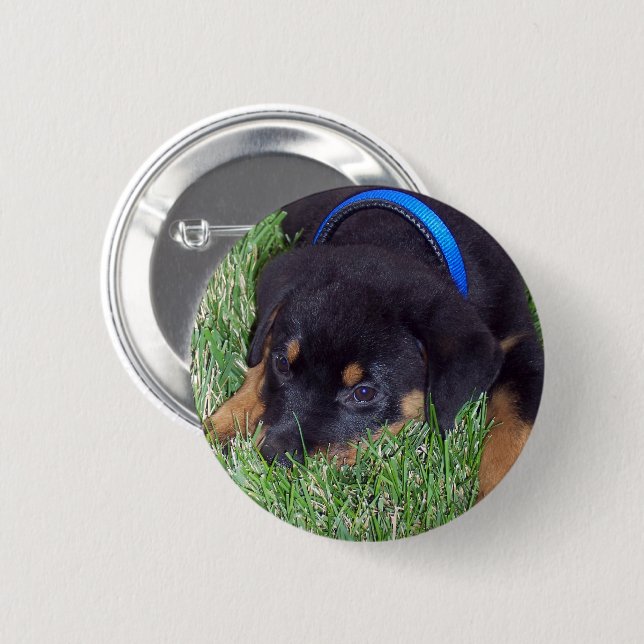 Chapa Redonda De 5 Cm crías de rottweiler (Anverso y reverso)