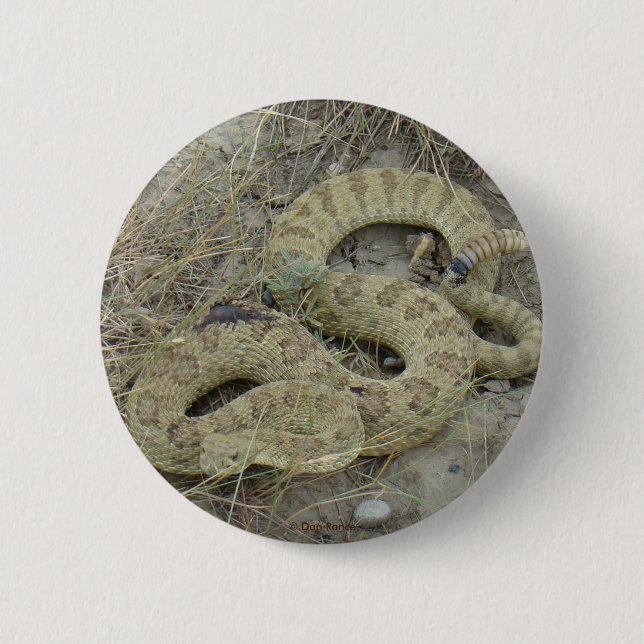 Chapa Redonda De 5 Cm Crótalo de la pradera R20 (Anverso)