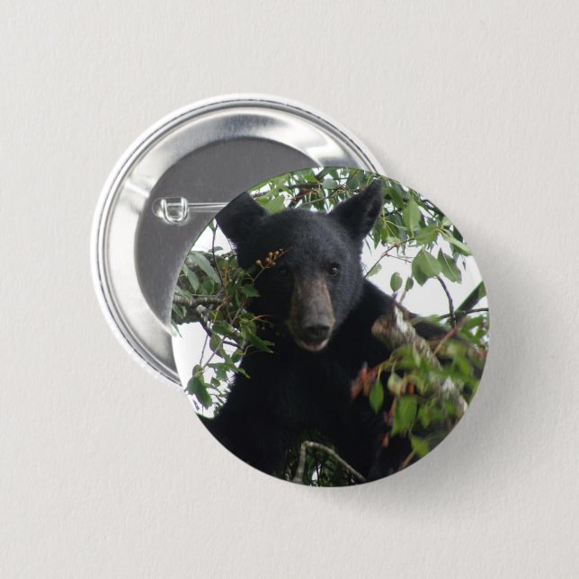 Chapa Redonda De 5 Cm Cubo de oso negro en un árbol (Anverso y reverso)
