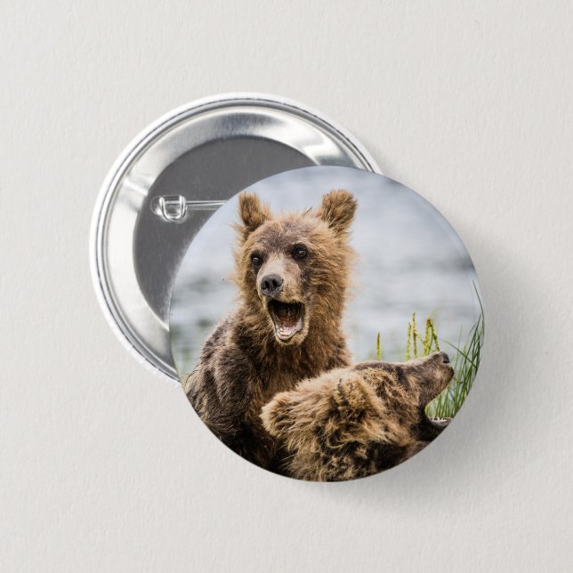 Chapa Redonda De 5 Cm Cubos Grizzly Buscando Su Mamá (Anverso y reverso)