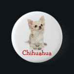 Chapa Redonda De 5 Cm Cuidado granizo de hihuahua<br><div class="desc">Cuidado granizo de hihuahua</div>