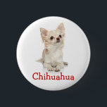 Chapa Redonda De 5 Cm Cuidado granizo de hihuahua<br><div class="desc">Cuidado granizo de hihuahua</div>