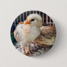 Chapa Redonda De 5 Cm Cute Baby Chick Round Button