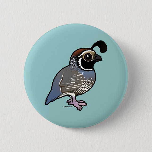 Chapa Redonda De 5 Cm Cute California Quail (Anverso)