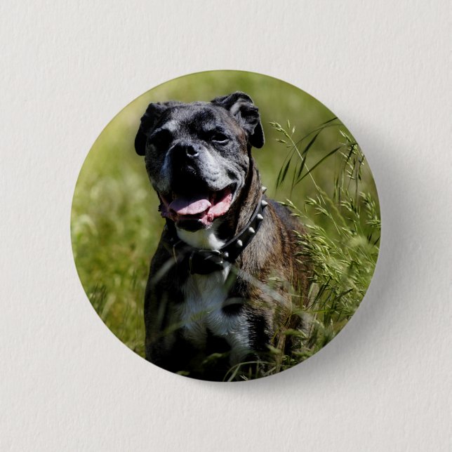 Chapa Redonda De 5 Cm Cute dog in grass (Anverso)