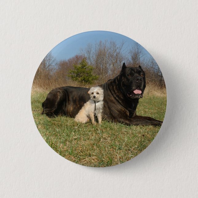 Chapa Redonda De 5 Cm Cute Dog Pareja (Anverso)