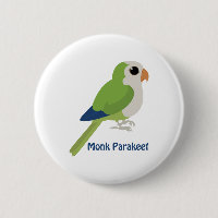 Cute Monk Parakeet