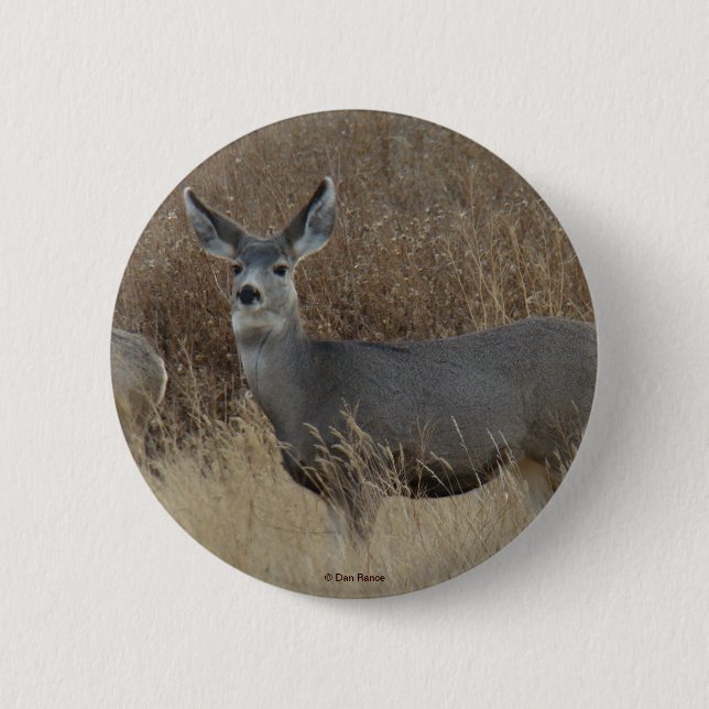 Chapa Redonda De 5 Cm D14 Mule Deer Doe (Anverso)