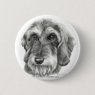 Chapa Redonda De 5 Cm Dachshund Alambre-Haired