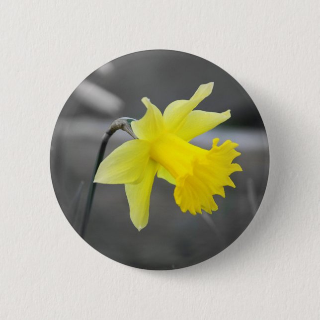 Chapa Redonda De 5 Cm Daffodil (Anverso)