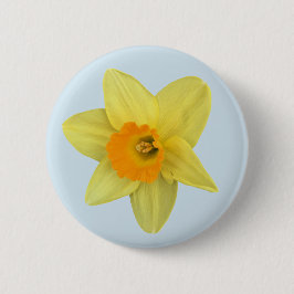 Chapa Redonda De 5 Cm Daffodil de primavera amarilla en azul pálido