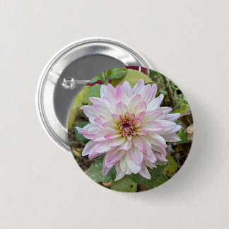 Chapa Redonda De 5 Cm Dahlia con puntas de color rosa claro