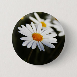 Chapa Redonda De 5 Cm Daisy