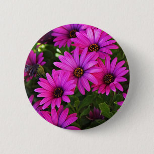 Chapa Redonda De 5 Cm Daisy africano púrpura