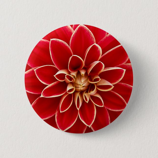Chapa Redonda De 5 Cm Dalia Rojo Brillante (Anverso)