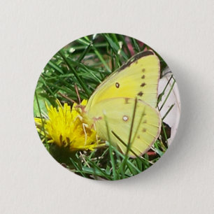 Chapa Redonda De 5 Cm Dandelion Butterfly