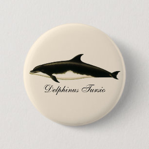 Chapa Redonda De 5 Cm Delfines Vintage Delphinus Tursio, Mamíferos Marin