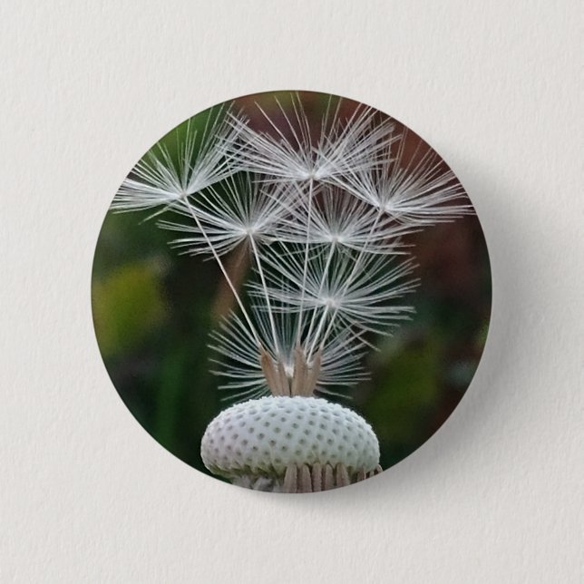 Chapa Redonda De 5 Cm Delicate Dandelion Seeds  (Anverso)