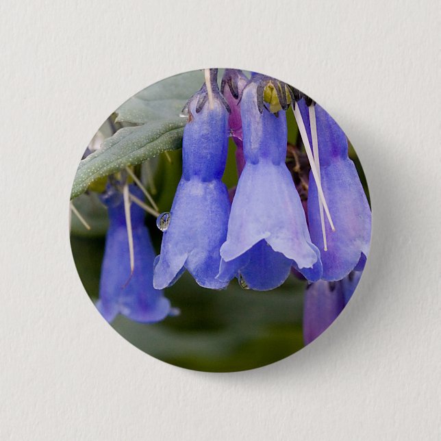 Chapa Redonda De 5 Cm Deseos (Anverso)